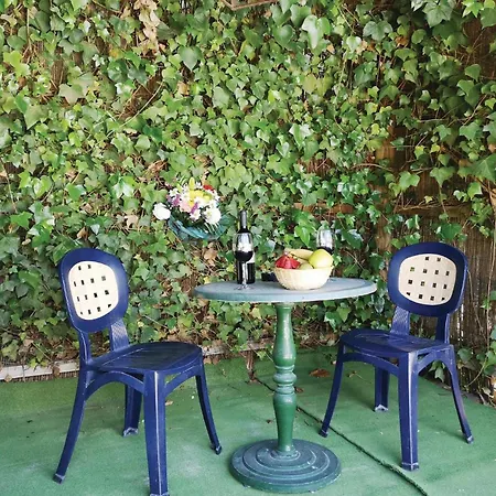 Pet Friendly In With Kitchen Olvera